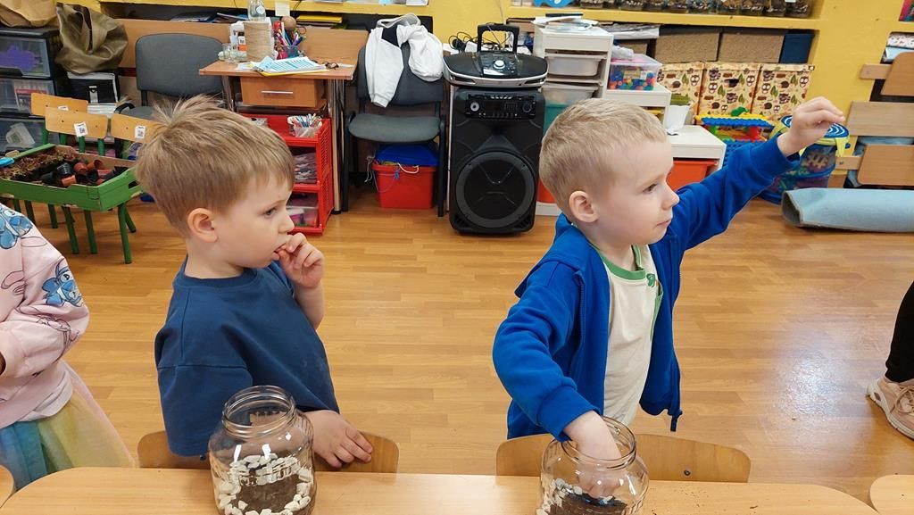 20250515_113934 (Copy)