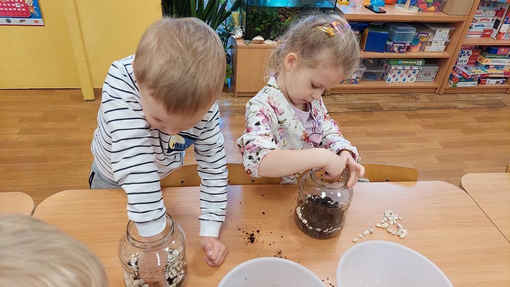 20250515_113915 (Copy)