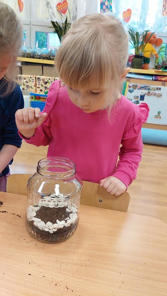 20250515_113513 (Copy)