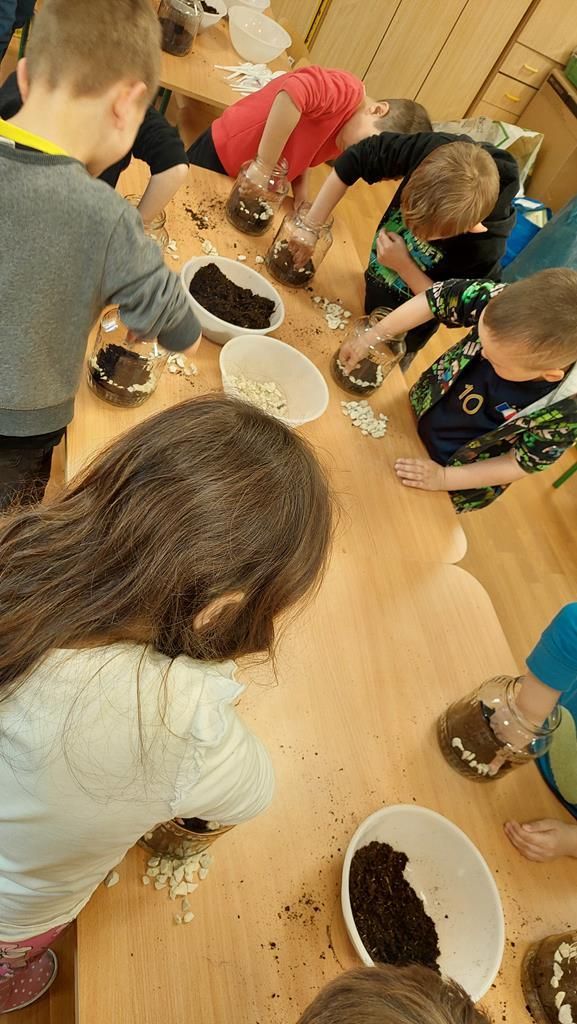 20250515_122336 (Copy)