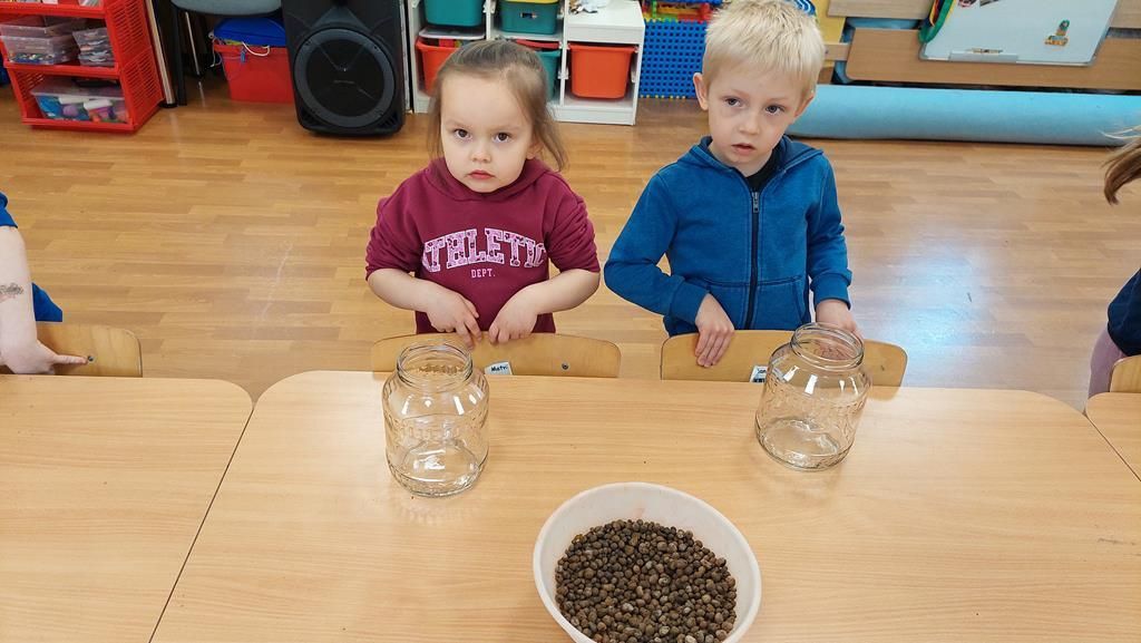 20250515_112107 (Copy)