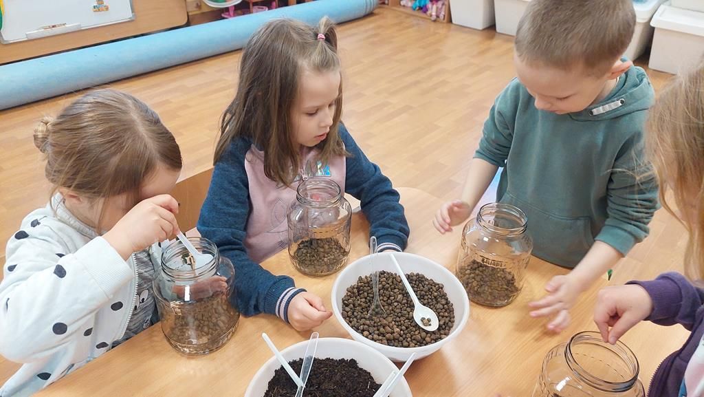 20250515_094022 (Copy)