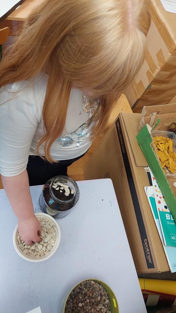 20250520_144419 (Copy)