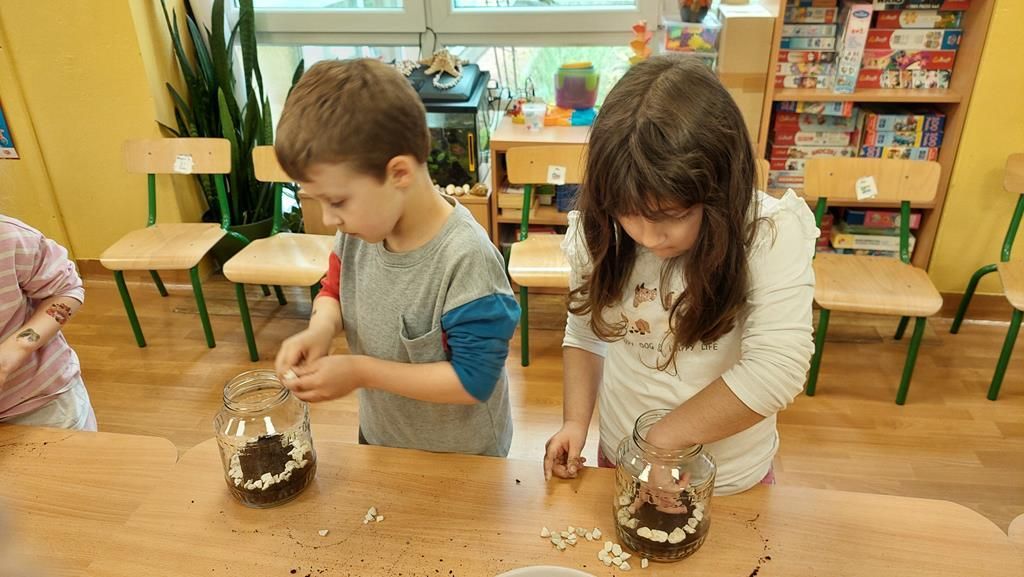 20250515_122459 (Copy)