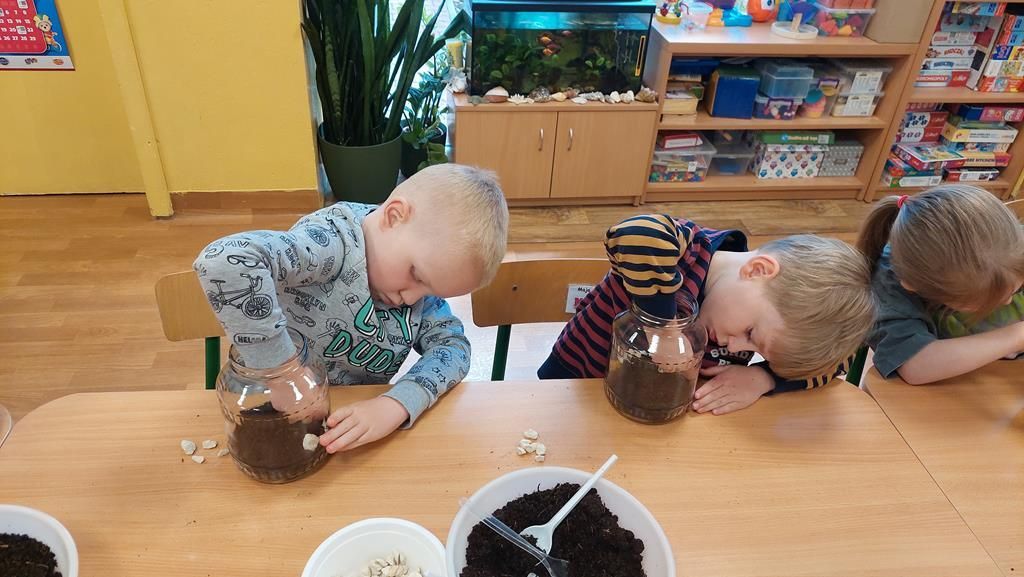 20250515_095257 (Copy)