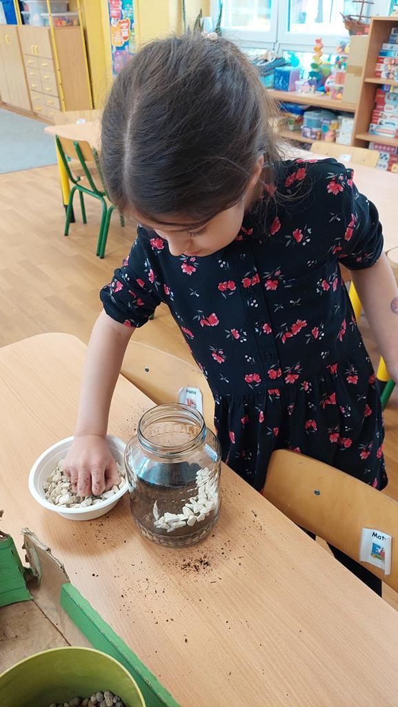 20250521_142945 (Copy)