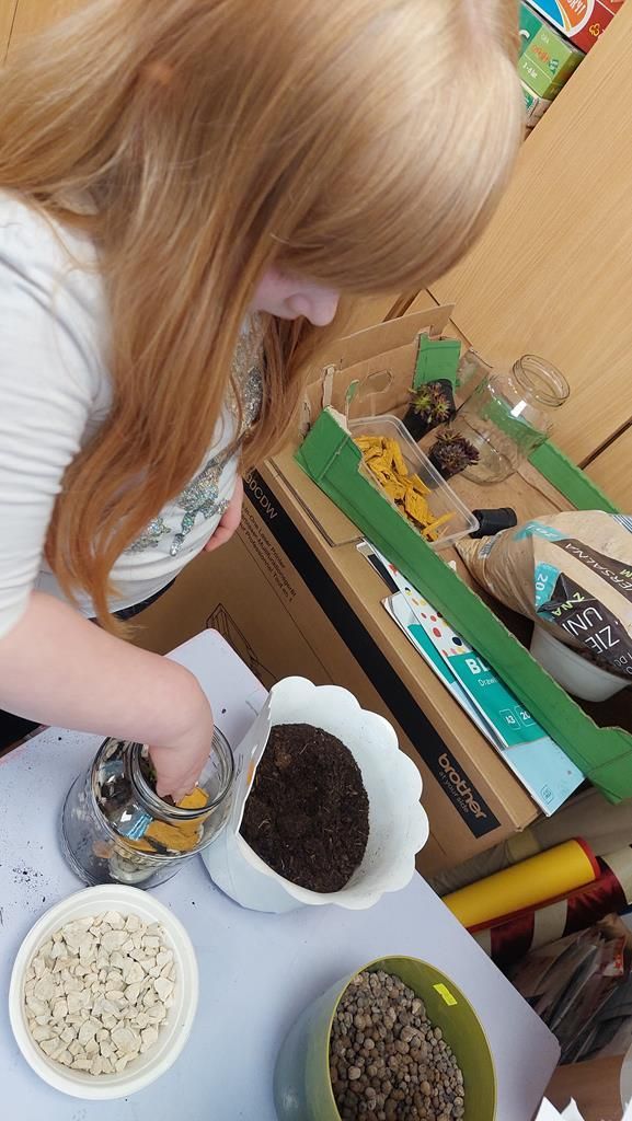 20250520_145059 (Copy)