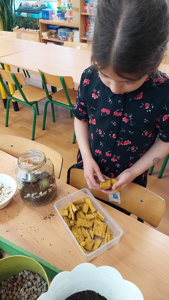 20250521_143127 (Copy)