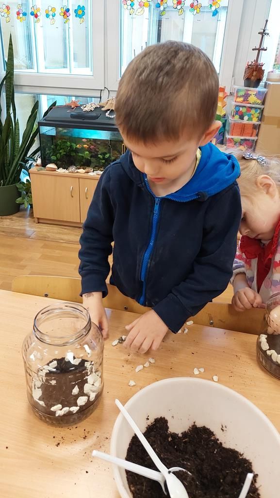 20250515_113450 (Copy)