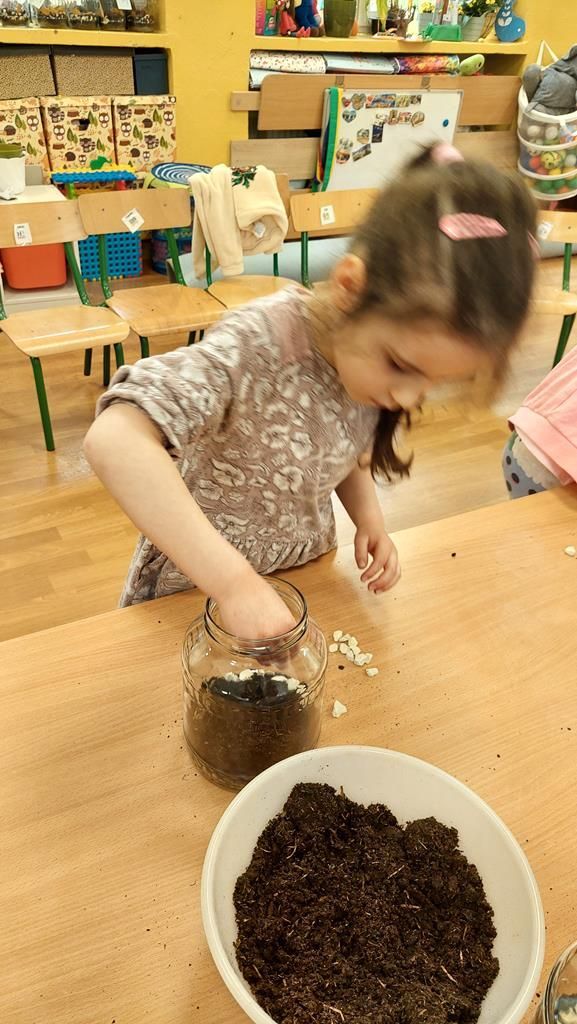 20250515_122254 (Copy)