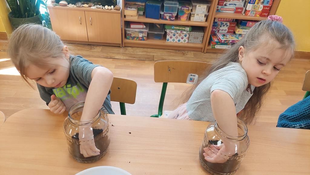 20250515_094844 (Copy)