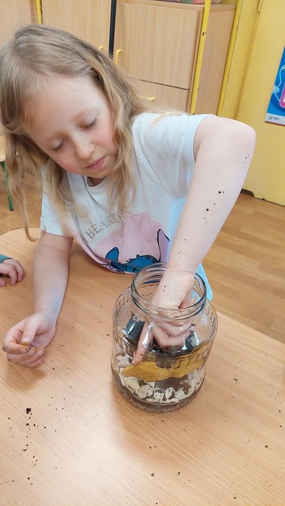 20250515_101736 (Copy)