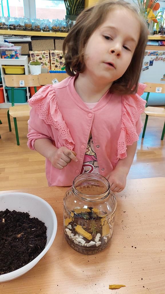 20250515_123754 (Copy)