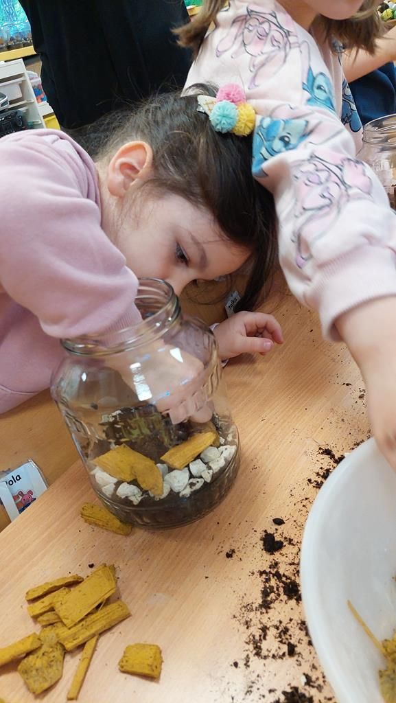 20250515_114356 (Copy)