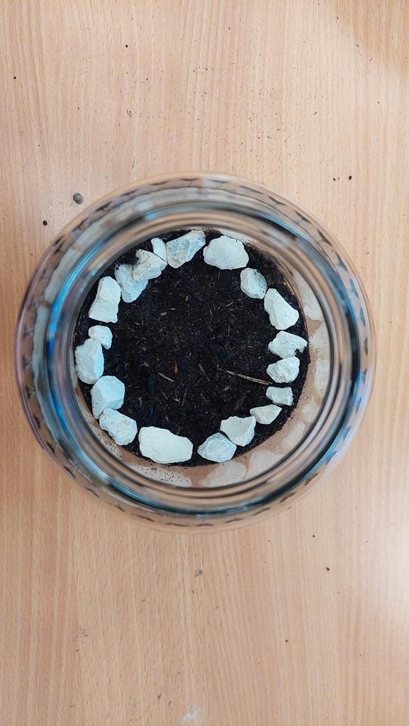 20250515_095429 (Copy)