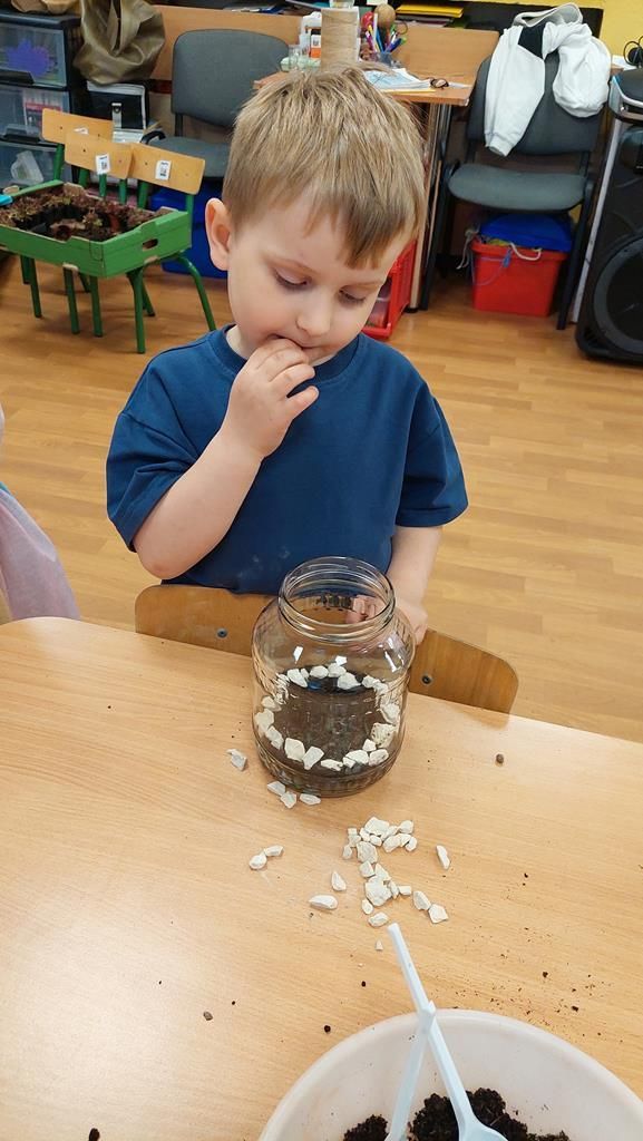 20250515_113527 (Copy)