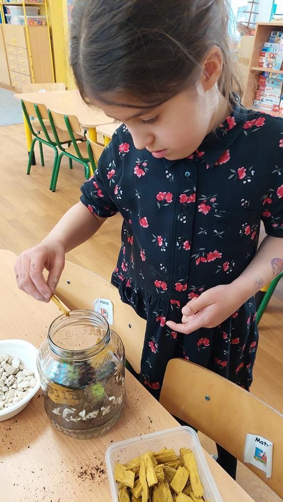 20250521_143141 (Copy)