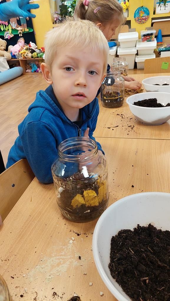 20250515_114445 (Copy)