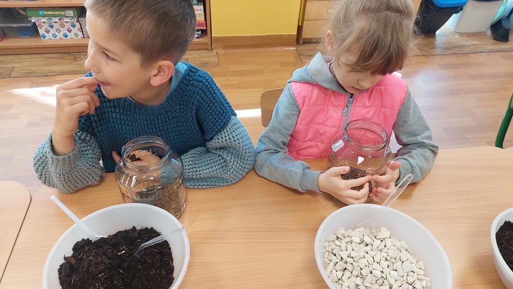 20250515_094147 (Copy)