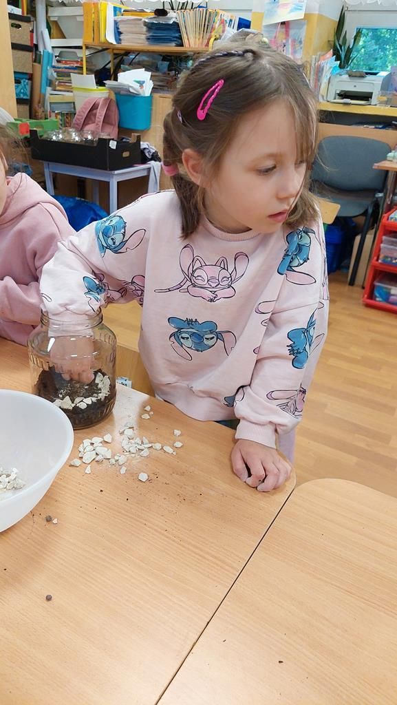 20250515_113533 (Copy)