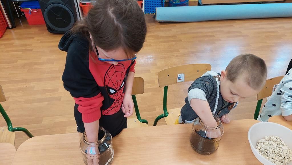 20250515_095222 (Copy)