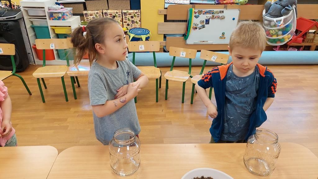 20250515_121306 (Copy)