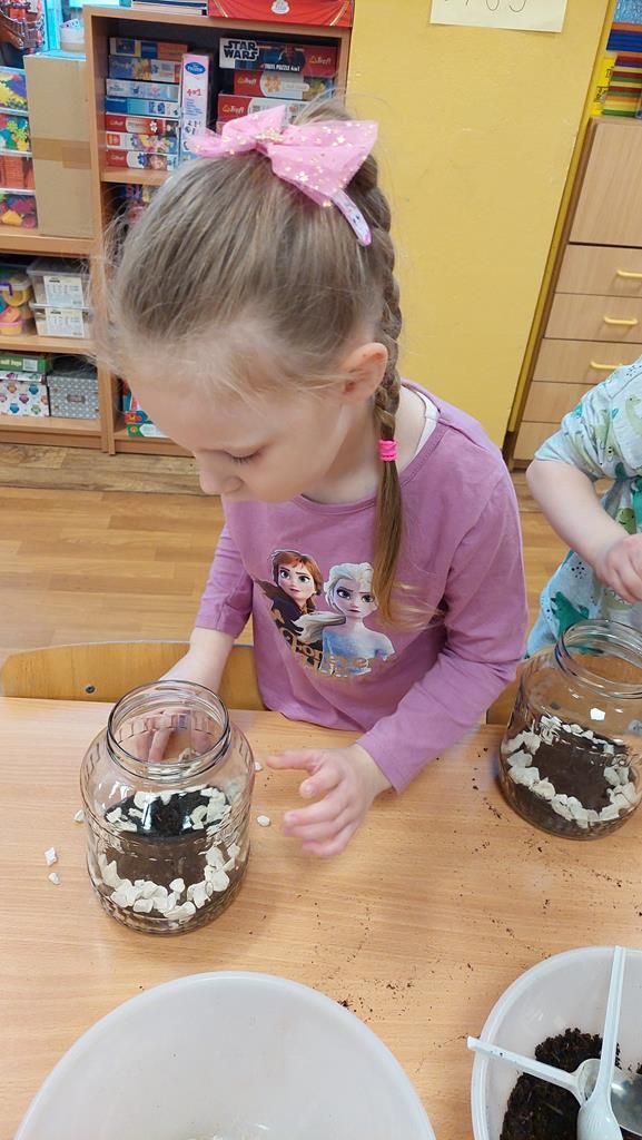 20250515_113444 (Copy)