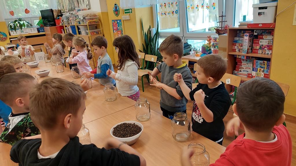 20250515_121134 (Copy)