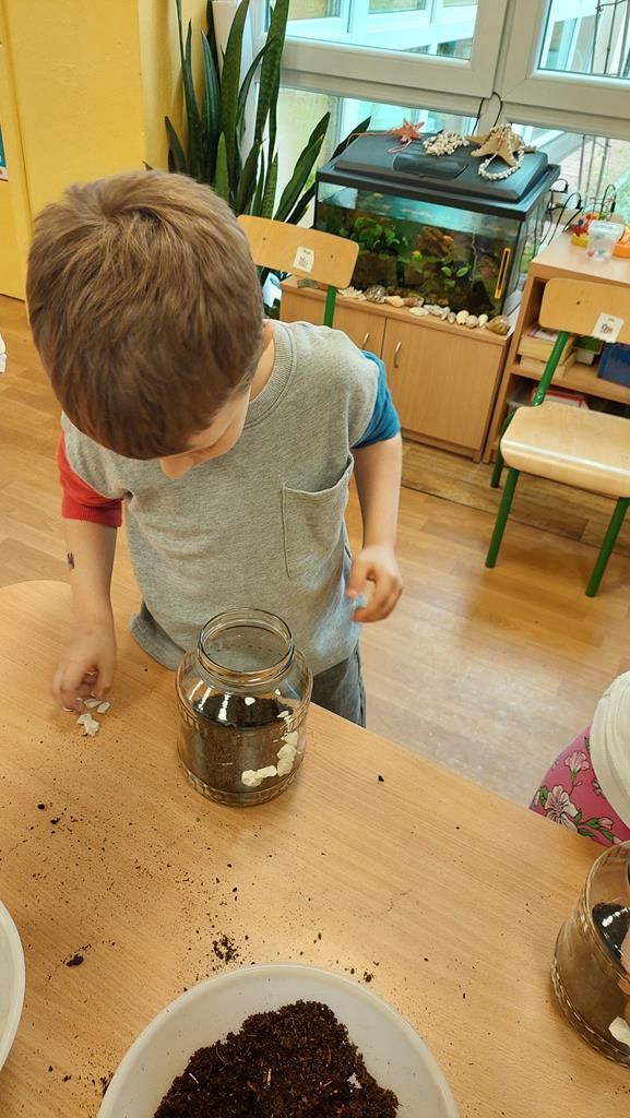 20250515_122210 (Copy)