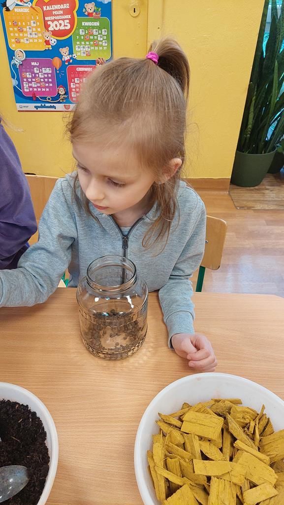 20250515_093957 (Copy)