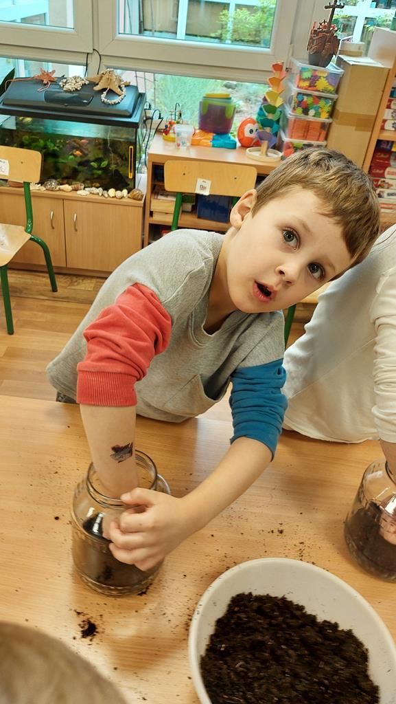 20250515_121922 (Copy)