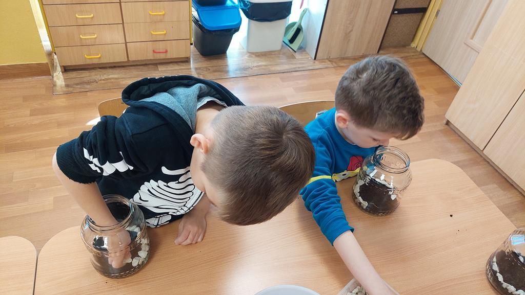 20250515_095309 (Copy)