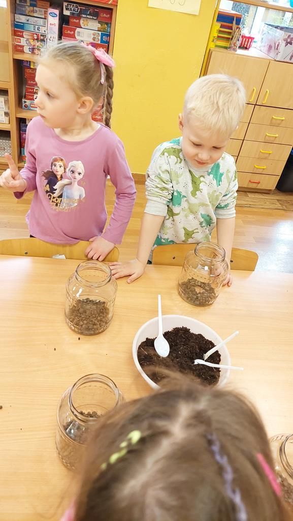 20250515_112452 (Copy)