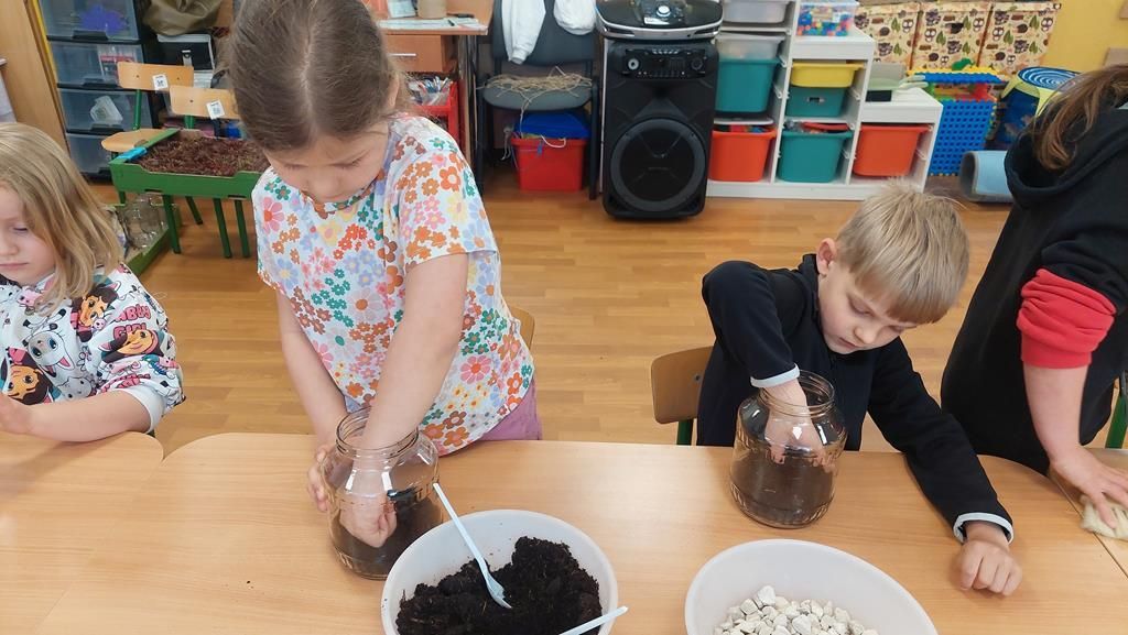 20250515_094941 (Copy)