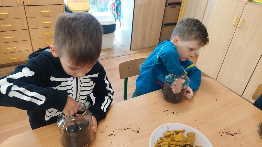 20250515_094854 (Copy)