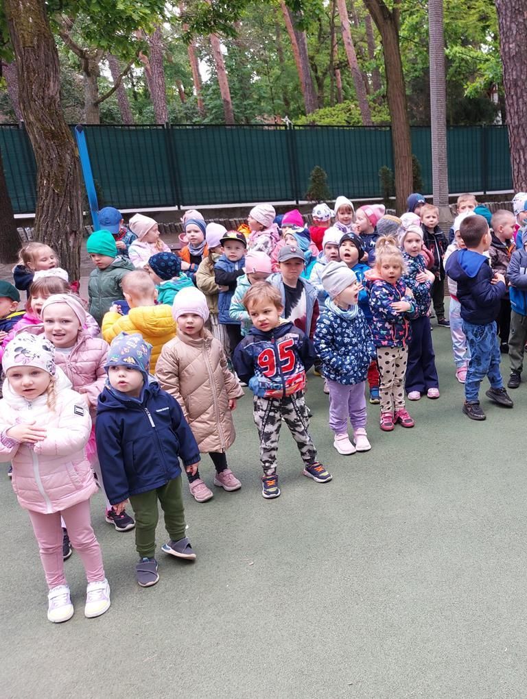 20250512_113231 (Copy)