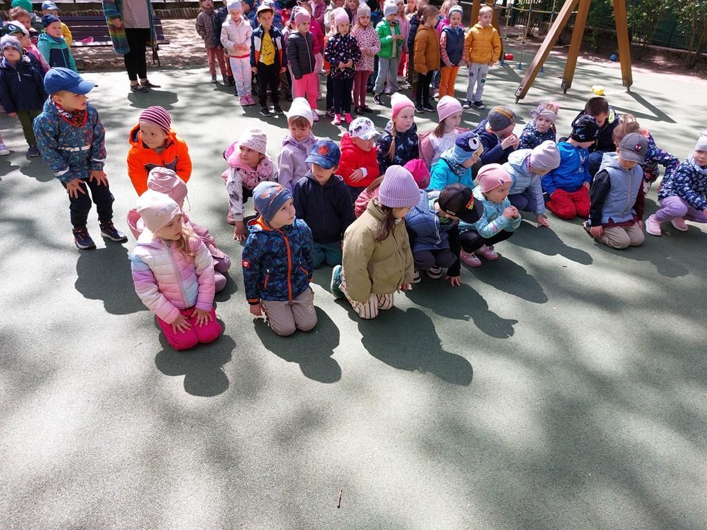 20250512_111511 (Copy)