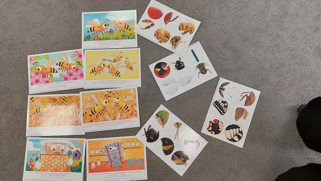 20250523_093802 (Copy)