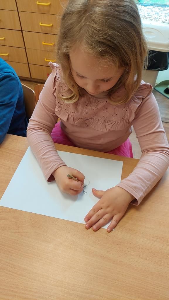 20250523_093512 (Copy)