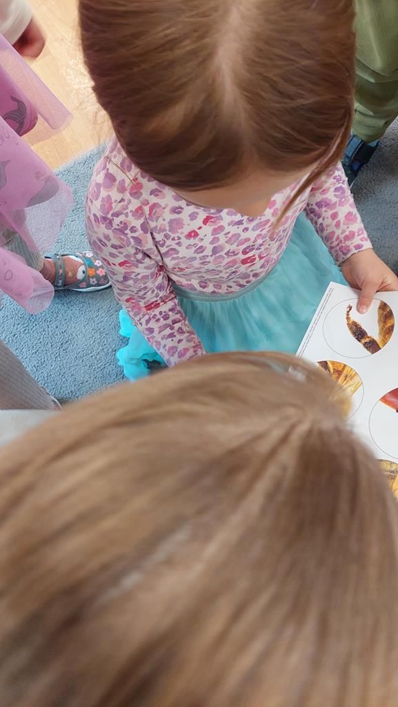 20250523_092546 (Copy)