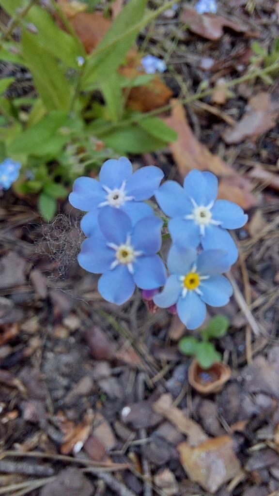 20250527_103744 (Copy)