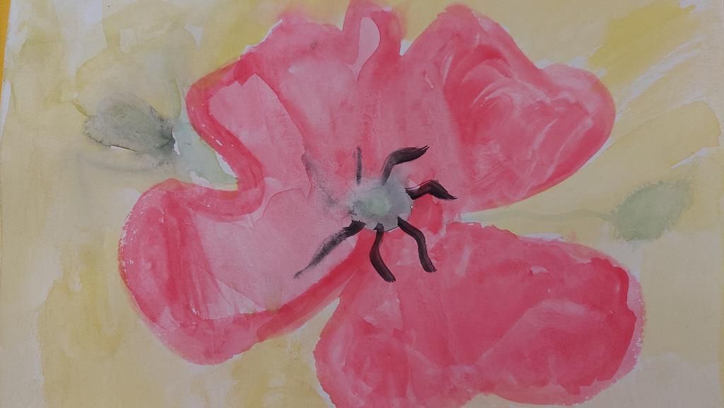 20250527_115600 (Copy)