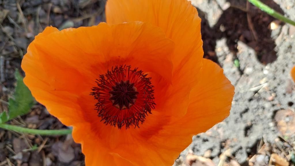 20250527_103622 (Copy)