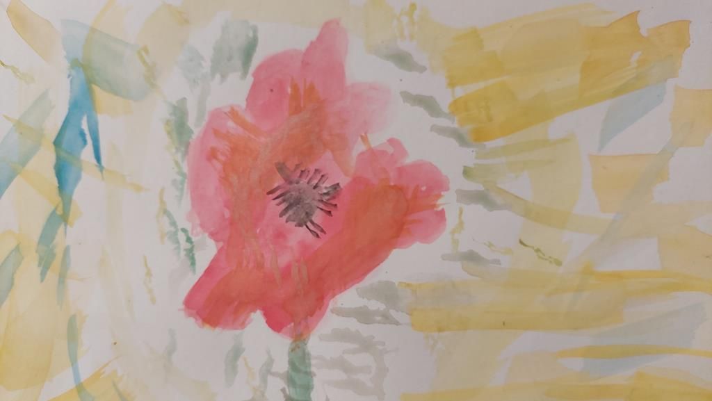 20250527_115500 (Copy)