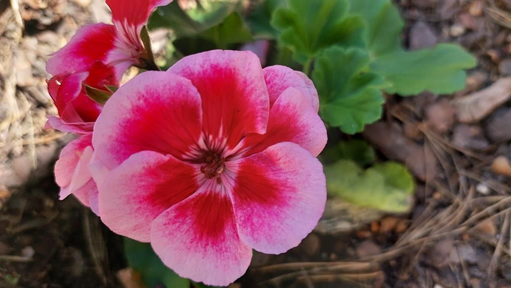 20250527_103614 (Copy)