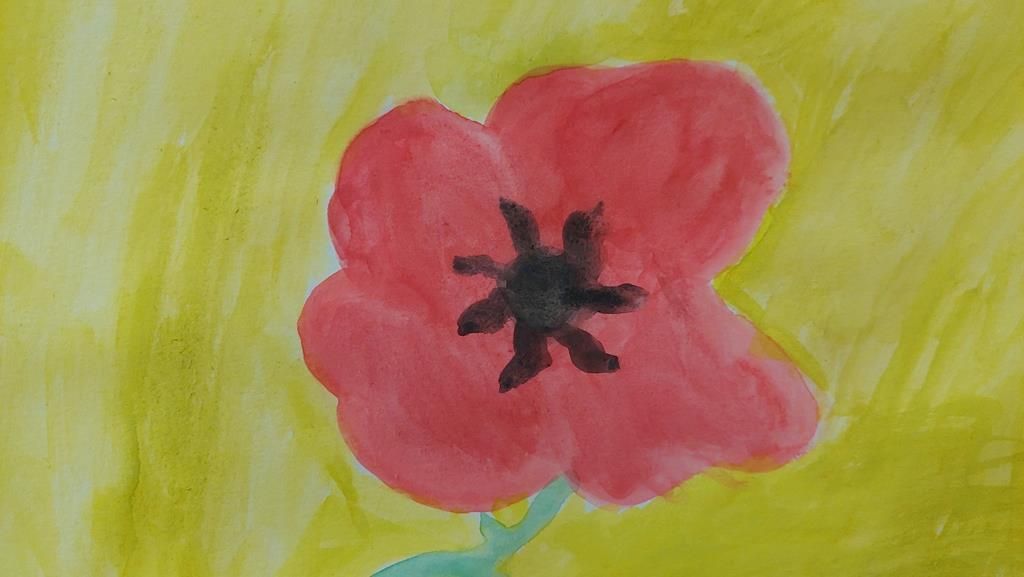 20250527_115510 (Copy)