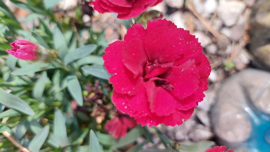 20250527_103632 (Copy)