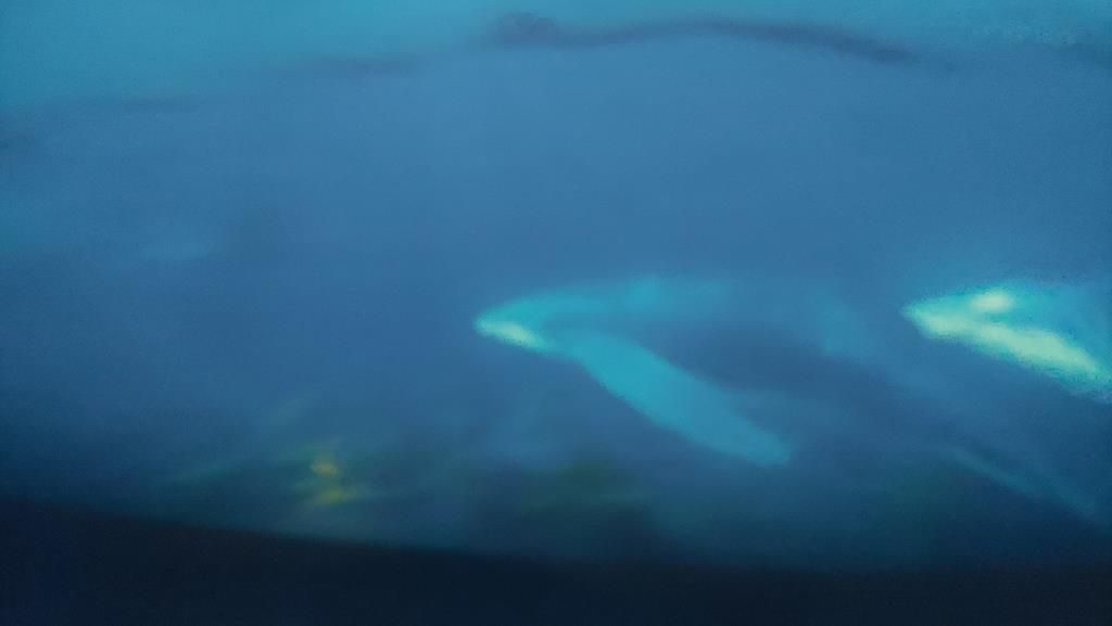 20250528_095936 (Copy)