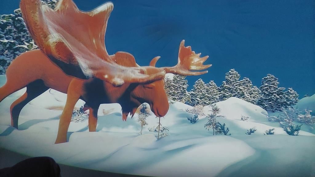 20250528_095313 (Copy)