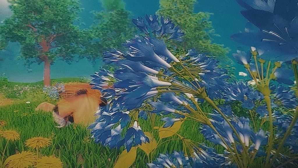 20250528_095134 (Copy)